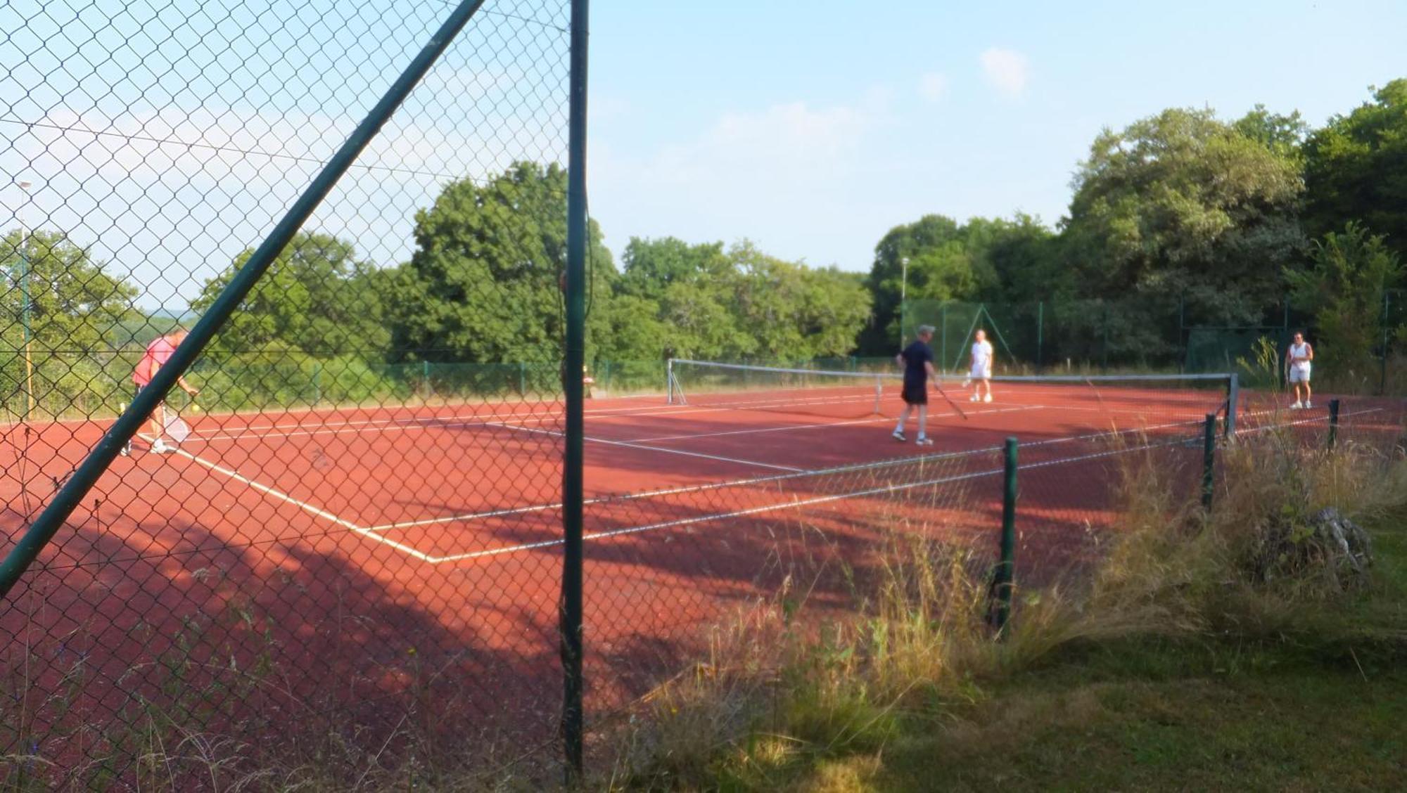 La Vache Tennis Prive Crux-la-Ville エクステリア 写真